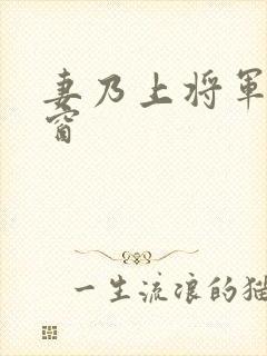 妻乃上将军无弹窗