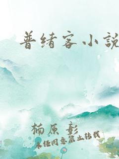 普绪客小说