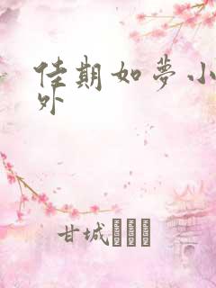 佳期如梦小说番外