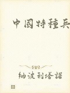 中国特种兵小说