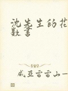 沈先生的花式调数书