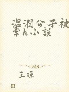 温润公子被脔日常h小说