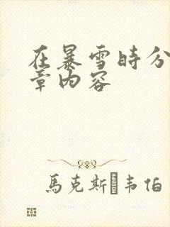 在暴雪时分54章内容