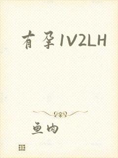 有孕1V2LH