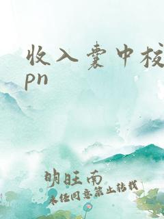 收入囊中校园hpn