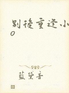 别后重逢小说po