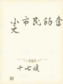 小市民的奋斗燃文