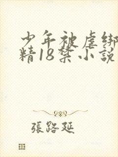 少年被虐绑着榨精18禁小说