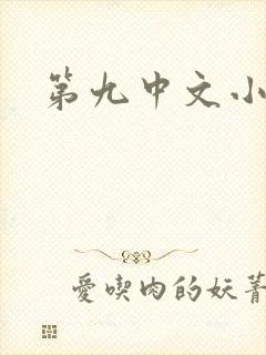 第九中文小说网