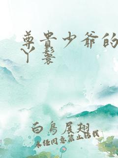 尊贵少爷的大牌丫鬟