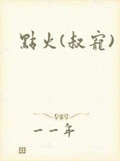 点火(叔宠)