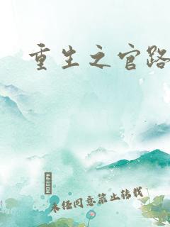 重生之官路风流