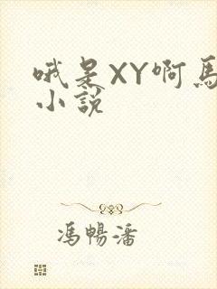 哦是XY啊马仔小说