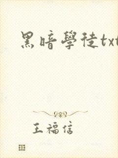 黑暗学徒txt