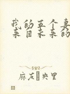 我的五个妻子和来自未来的孩子