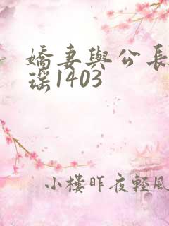 娇妻与公长篇瑶瑶1403
