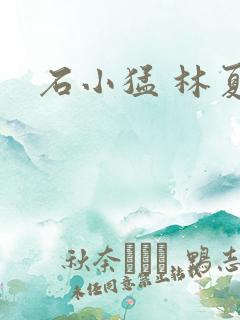 石小猛 林夏