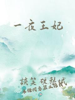 一夜王妃