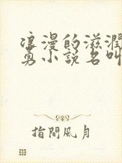 浪漫的滋润刘大勇小说名叫什么?