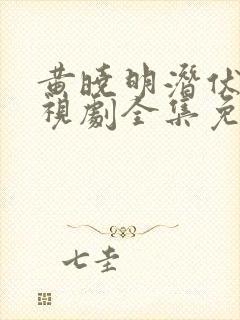 黄晓明潜伏者电视剧全集免费观看