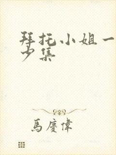 拜托小姐一共多少集