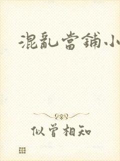 混乱当铺小说