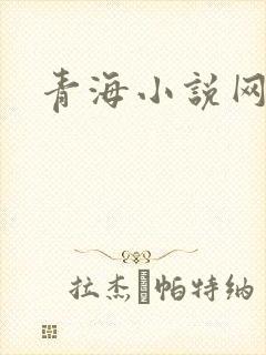 青海小说网