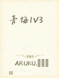 青梅1V3