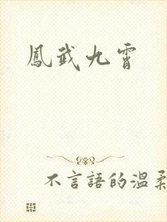 凤武九霄
