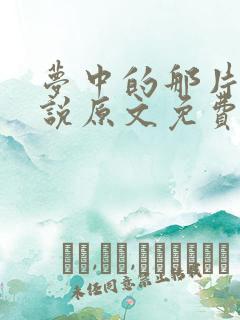 梦中的那片海小说原文免费阅读