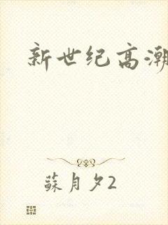 新世纪高潮战队