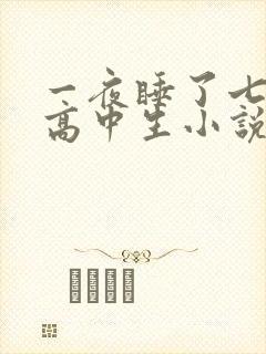 一夜睡了七个女高中生小说h