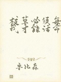 校草必须每天吸我才能活命[穿书]