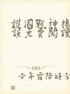 护国战神杨风小说免费阅读