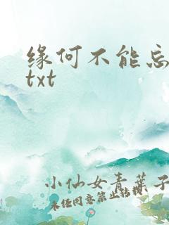 缘何不能忘记你txt