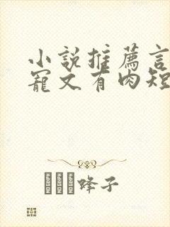 小说推荐言情甜宠文有肉短篇完结