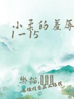 小柔的羞辱日记1一15