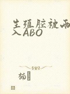 生殖腔被两根进入ABO