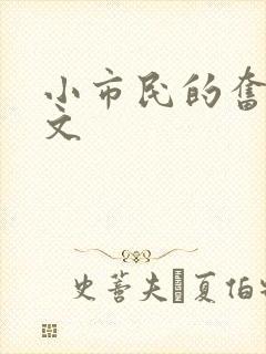 小市民的奋斗燃文