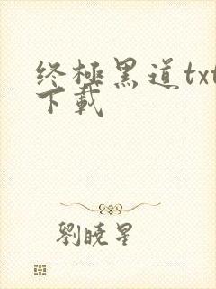 终极黑道txt下载