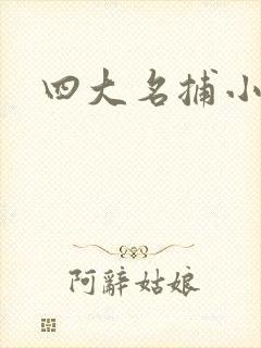 四大名捕小说