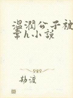 温润公子被脔日常h小说