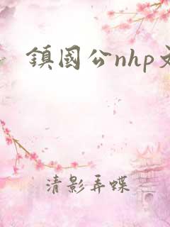 镇国公nhp文