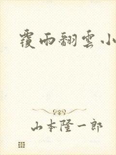 覆雨翻云小说
