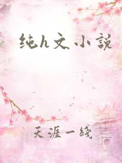 纯h文小说