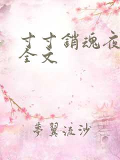 寸寸销魂夜春光全文