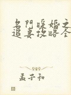 名门暖婚之权爷追妻攻略全文免费阅读