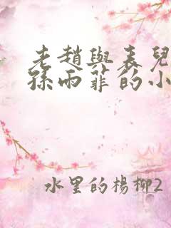 老赵与表儿媳妇孙雨菲的小说孙雨