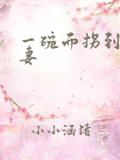 一碗面拐到美艳妻