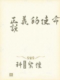 正义的使命 小说